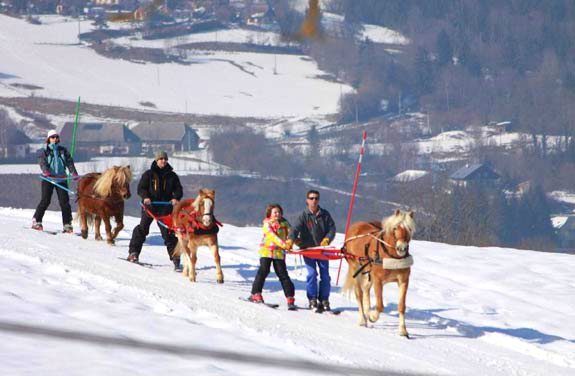 rando sli joering savoie | destinations cheval