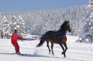 rando sli joering savoie | destinations cheval