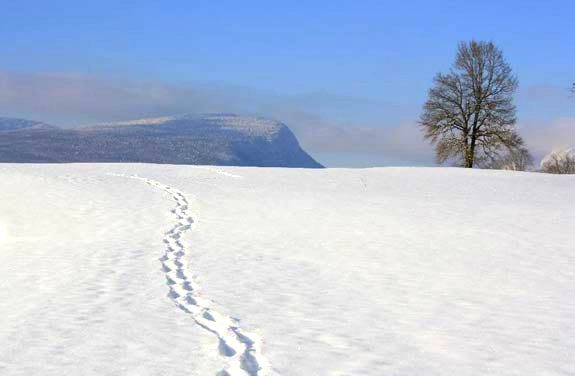 rando sli joering savoie | destinations cheval