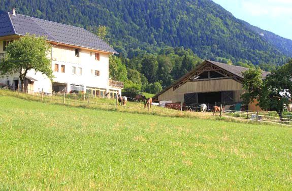 stage equestre savoie enfants | destinations cheval