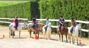 stage equitation | destinations cheval