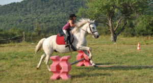 stage equitation var | destinations cheval