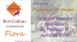 bon cadeau destinations cheval