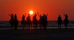 derniere minute destinations cheval