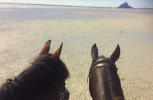 randonnee cheval normandie destinations cheval