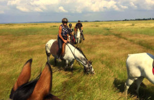 randonnee cheval normandie destinations cheval