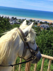 randonnee cheval normandie destinations cheval