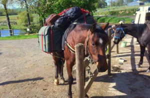 randonnee cheval normandie destinations cheval