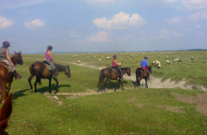 balade cheval mont saint michel | Destinations Cheval