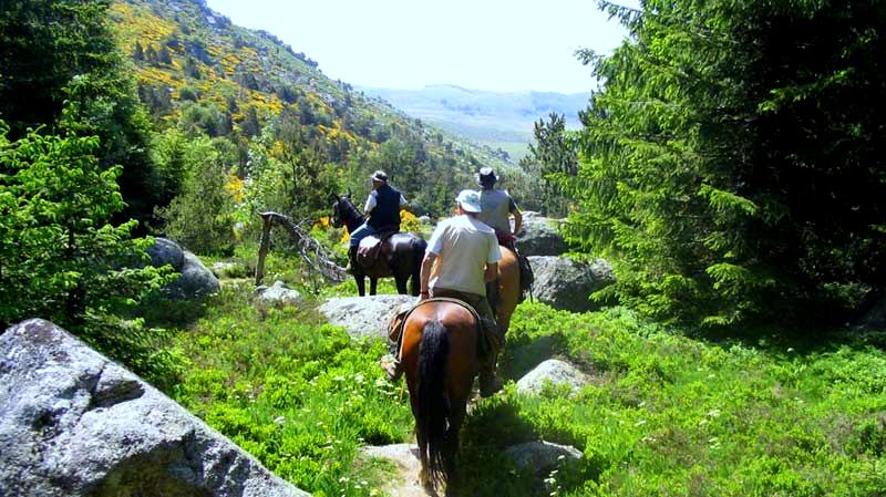 randonnée équestre Cévennes | Destinations Cheval