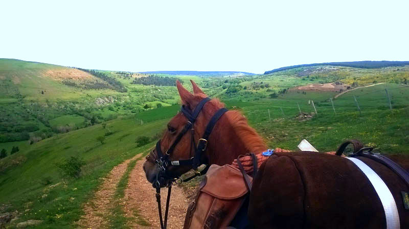 randonnée équestre Cévennes | Destinations Cheval