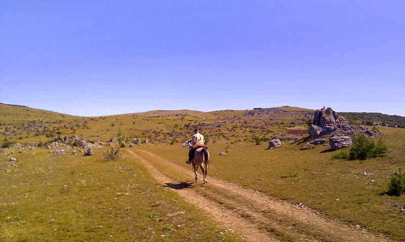 randonnée équestre Cévennes | Destinations Cheval