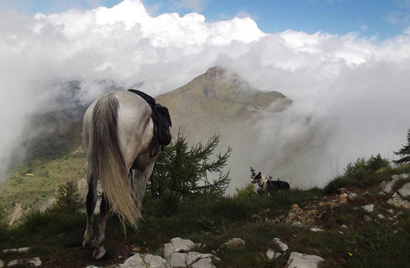 randonnee cheval alpes france italie | Destinations Cheval