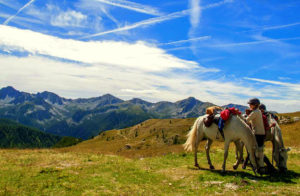 randonnee equestre mercantour| | destinations cheval