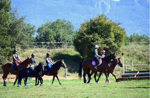 stage équitation en PACA | Destinations Cheval