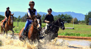 stage d'équitation en paca