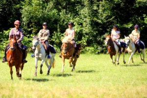 Week end cheval dans le Jura