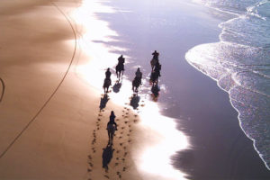 Balade à cheval sur la plage de l’océan atlantique