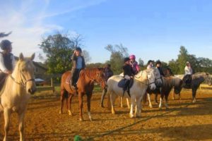 Week-end à cheval pour débutant dans le Gers