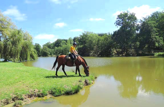 stage d'initiation à cheval dans le gers