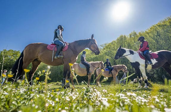 stage cheval pour ados pendant les vacances scolaires