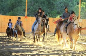 stage d'équitation enfant ado