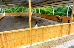 stage d'équitation enfant ado