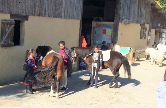 stage d'équitation pour les jeunes soins des chevaux