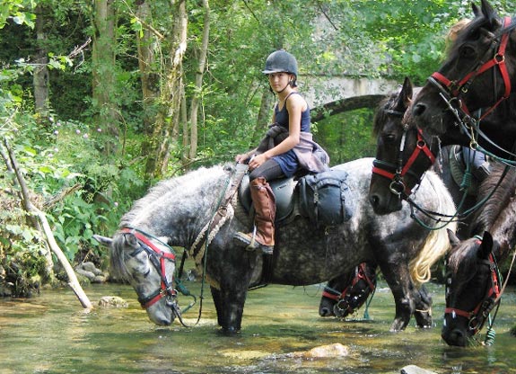 colonie de vacances à cheval