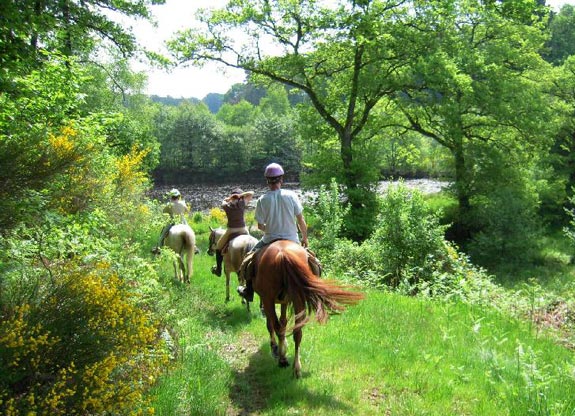 promenade à cheval avec destinations Cheval