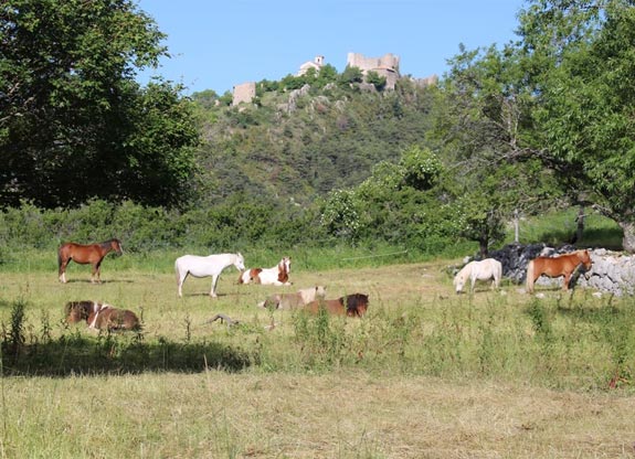 Séjour équestre avec Destinations Cheval