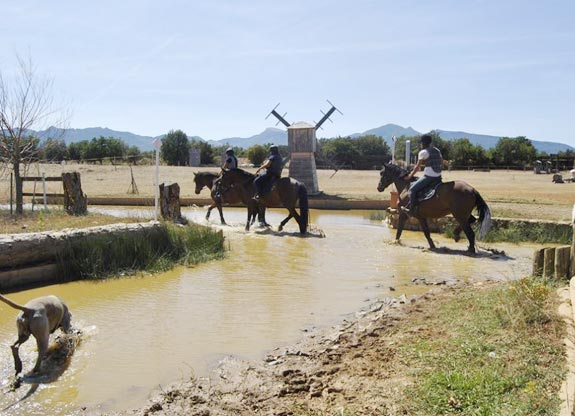 stage d'équitation pour adulte