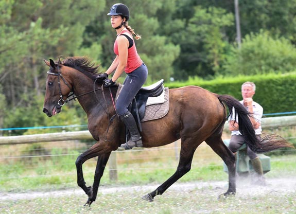 stage d'équitation avec Destinations Cheval