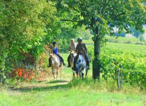 weekend à cheval avec Destinations Cheval