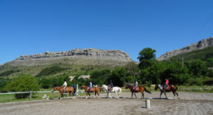 initiation à l'équitation