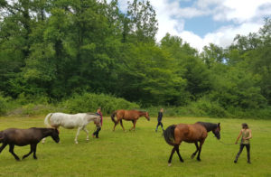 randonnée cheval périgord