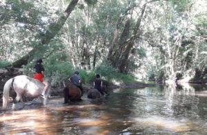 randonnée cheval périgord