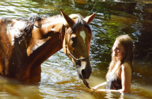 randonnée cheval périgord