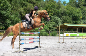 stage d'équitation et cours d'anglais