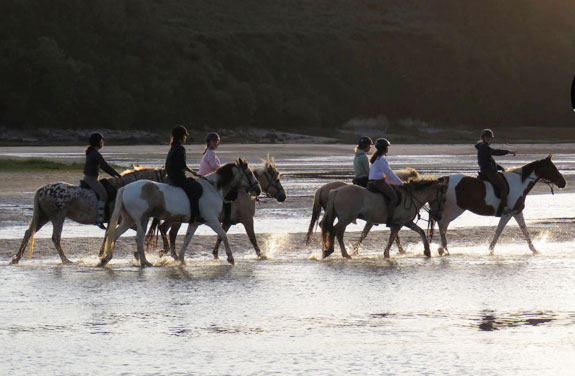 stage d'équitation en Bretagne