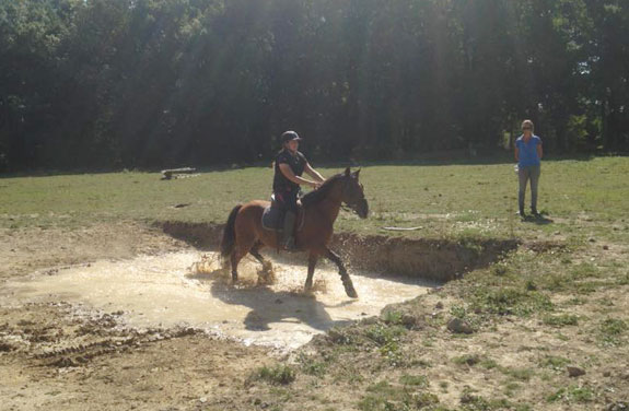 stage d'équitation en Bretagne