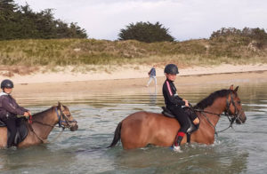stage d'équitation en Bretagne