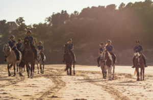stage d'équitation en Bretagne