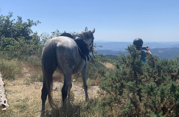 ardeche cheval rando