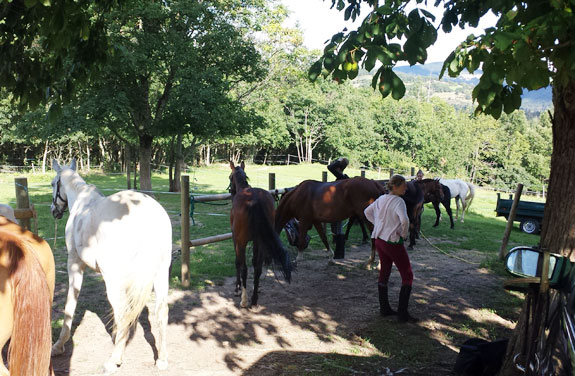 ardeche rando cheval