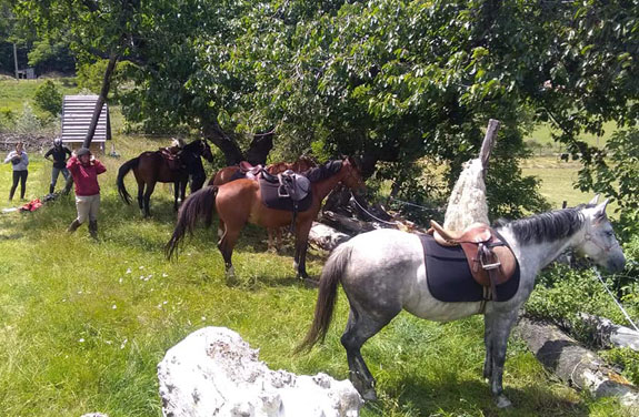 ardeche randonnee cheval