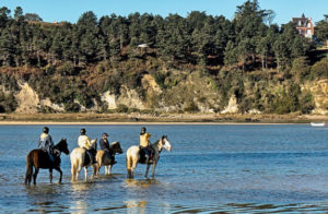 balade cheval bretagne