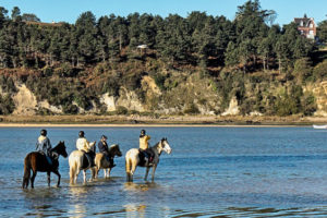 Balade à cheval sur la côte d’émeraude en Bretagne