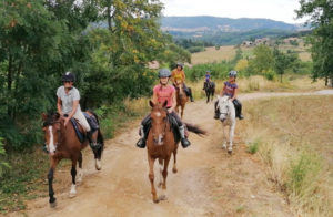 cheval ado ardeche