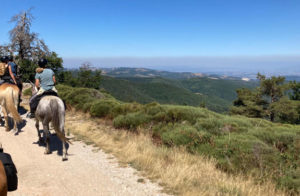 cheval enfant ardeche